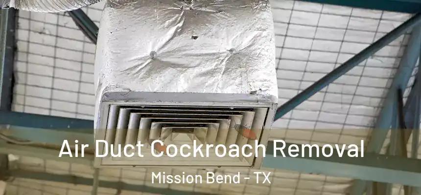  Air Duct Cockroach Removal Mission Bend - TX