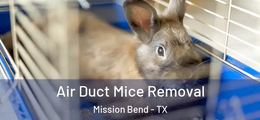  Air Duct Mice Removal Mission Bend - TX