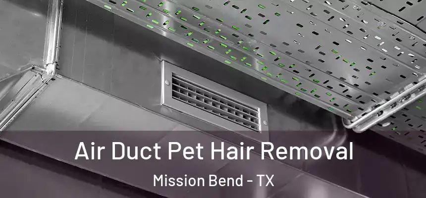  Air Duct Pet Hair Removal Mission Bend - TX