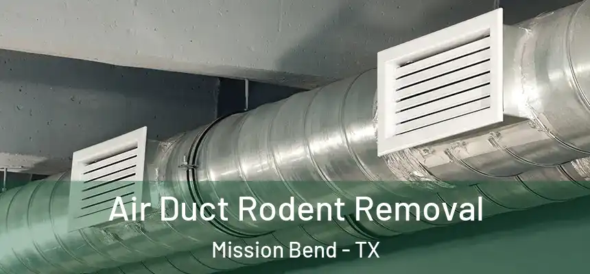 Air Duct Rodent Removal Mission Bend - TX