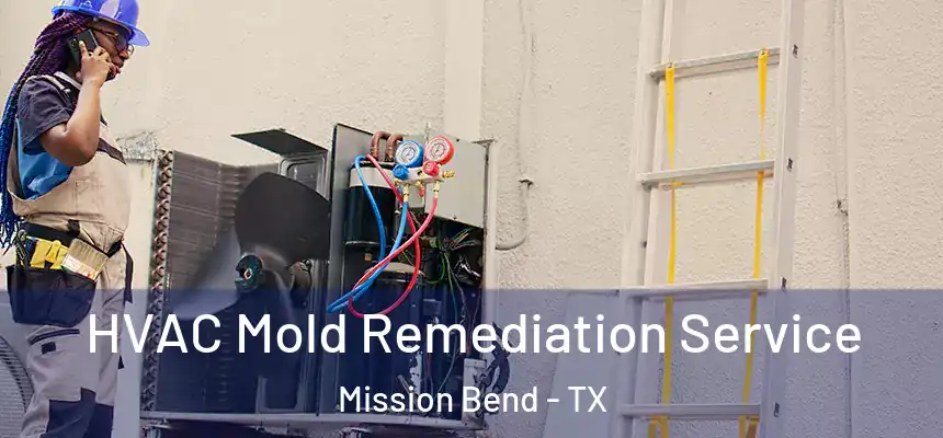 HVAC Mold Remediation Service Mission Bend - TX