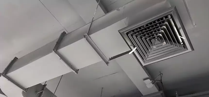 Restorative Allergy Relief Vent Cleaning – Coil, Blower & Housing Detail in Mission Bend