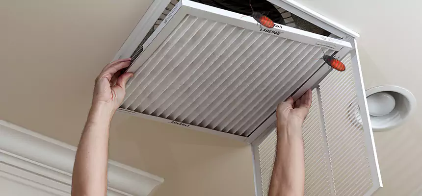 Our Insect Removal from Air Ducts Services in Mission Bend, TX