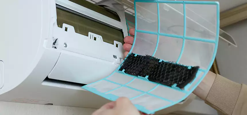 Gentle Ductwork Odor-Control Pet Dander Duct Cleaning in Mission Bend, TX