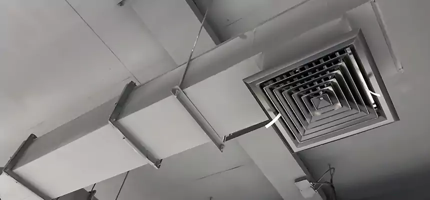 Our Rodent Droppings In Vents Services in Mission Bend, TX