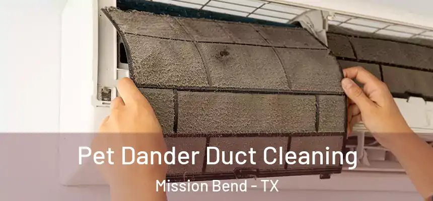 Pet Dander Duct Cleaning Mission Bend - TX