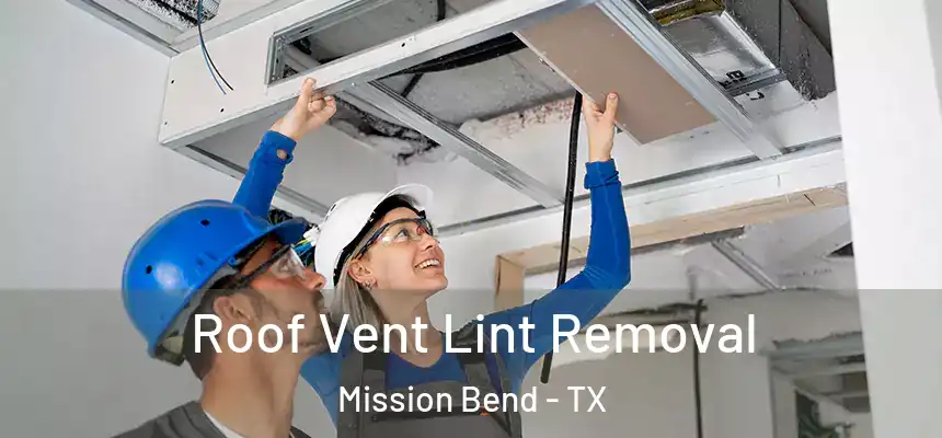 Roof Vent Lint Removal Mission Bend - TX