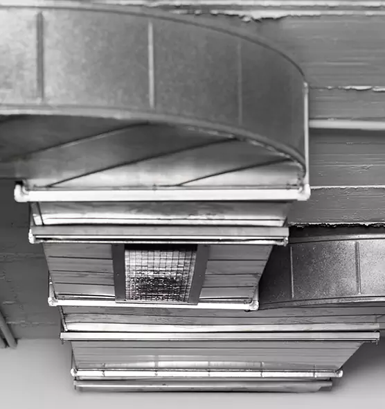 Professional Air Duct Pet Hair Removal in Mission Bend, TX