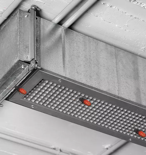 Affordable Insect Removal from Air Ducts in Mission Bend, TX