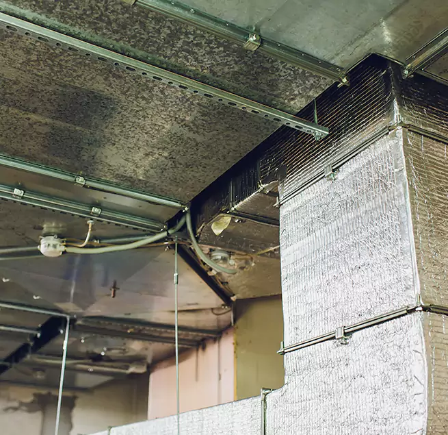 Why Homeowners & Businesses Trust Us in Mission Bend, TX?